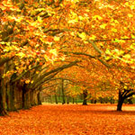 beauty-service-luebeck-herbst-refresh-deluxe Beauty Service Lübeck Herbst Refresh Deluxe